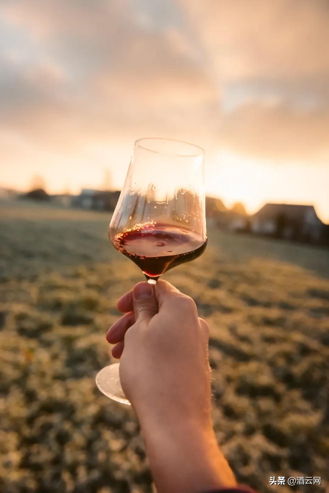 如何购买性价比高的葡萄酒 (葡萄酒推荐性价比高好喝)