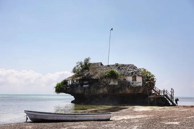 坦桑尼亚之旅,坦桑尼亚东非草原