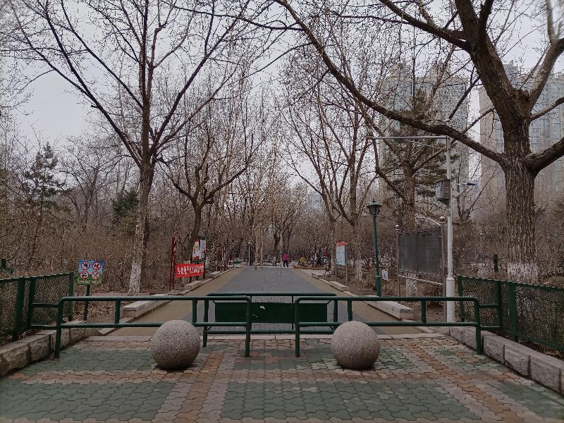 哈尔滨市内环境,哈尔滨一年四季的现状