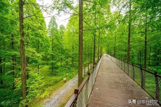 我的家乡东台,我的家乡江苏东台市