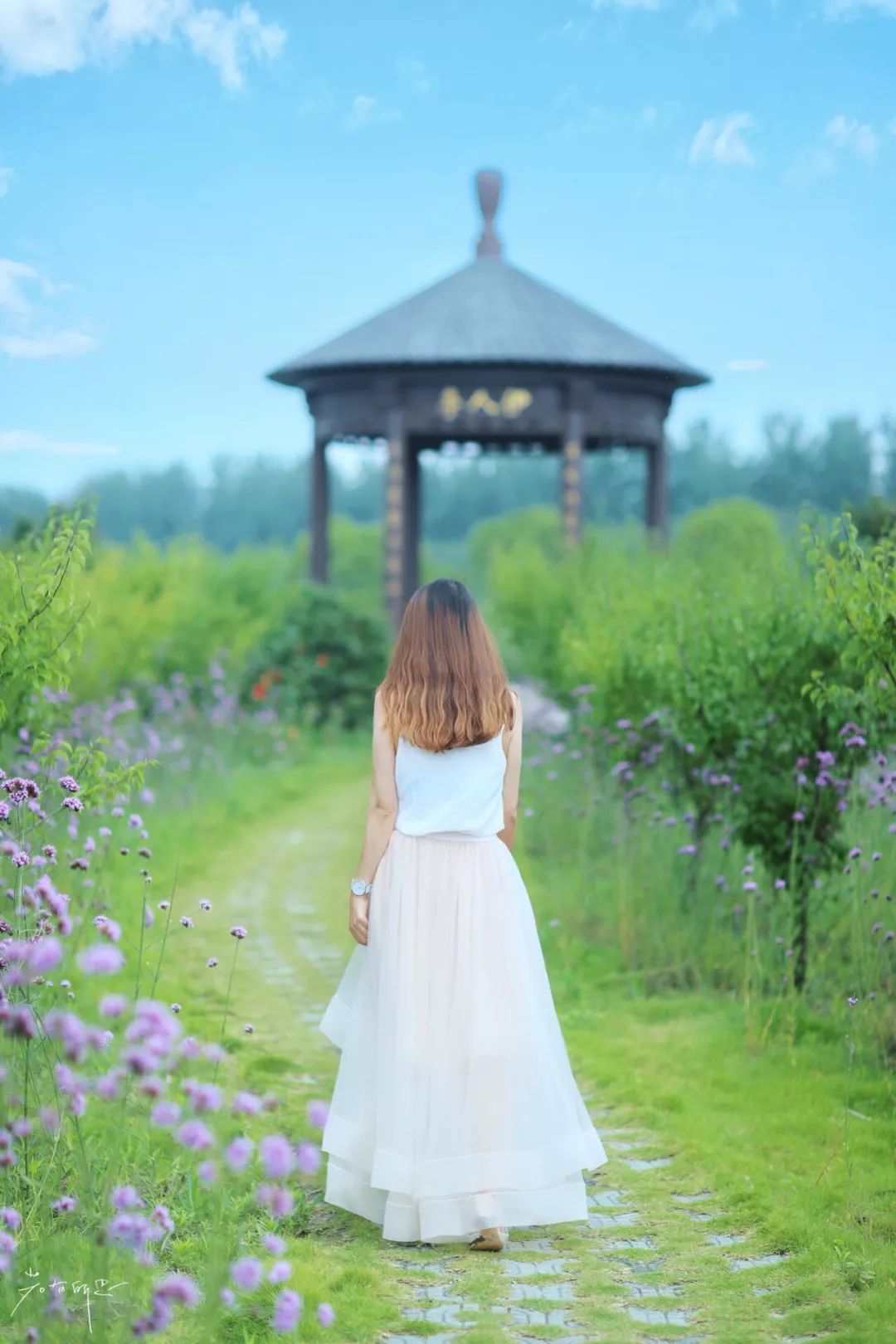 三月赏花一日游上海景点,本月上海赏花一日游最佳去处