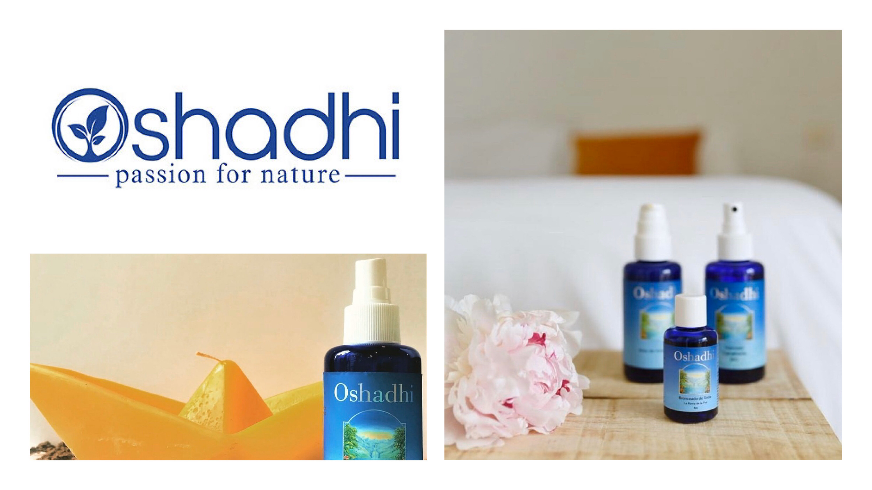 翻遍了近百家天猫美妆店，发现这几家店铺省钱实惠有良心