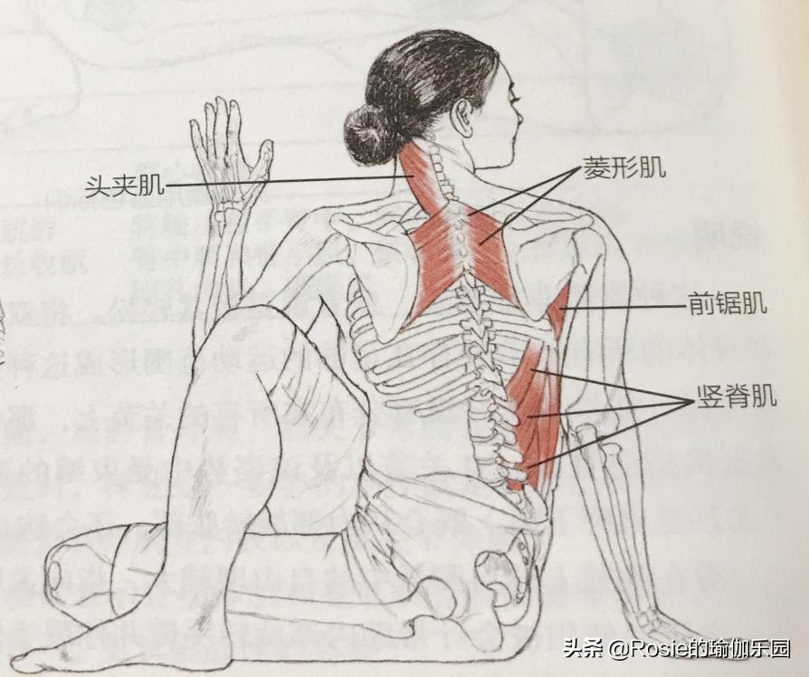 运动量过大腰疼怎么恢复,产后腰痛膝盖痛怎么锻炼