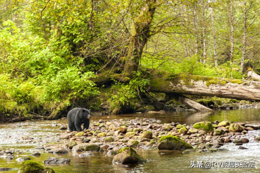 加拿大旅游胜地是哪里,加拿大经典旅游路线推荐一下
