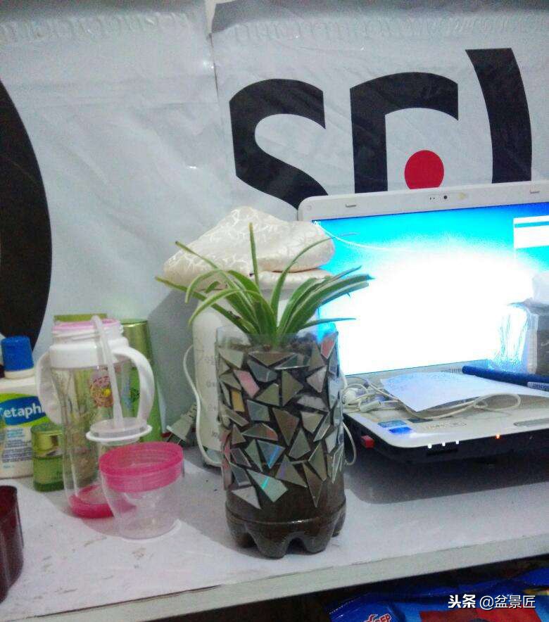 废物改造花盆绿植,旧物改造吊兰花盆