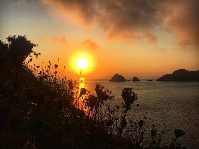 枸杞岛两天一夜最全旅游攻略,一生必去的枸杞岛