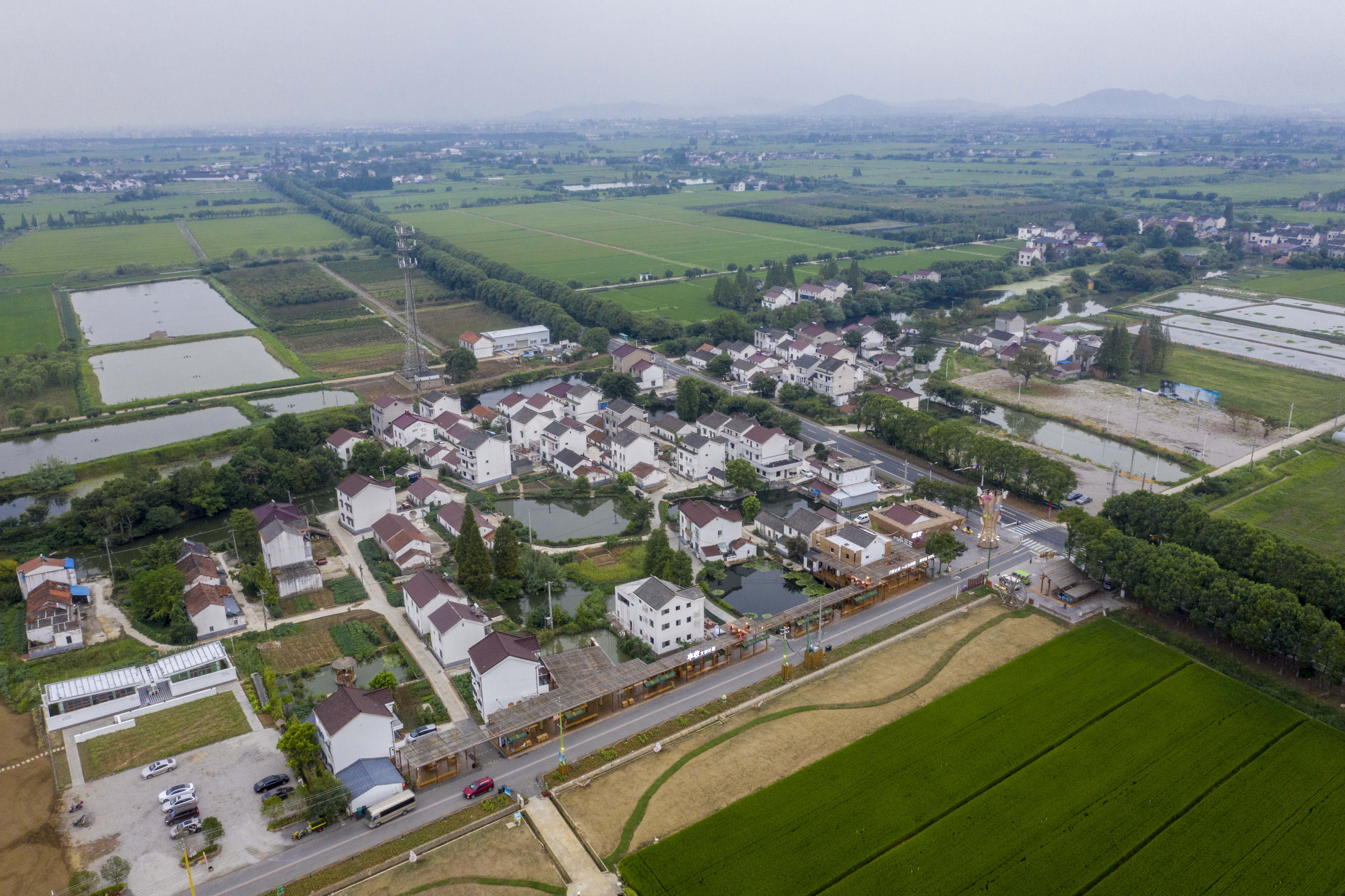 良田沃野蝶飞蜂拥，溧阳网红庆丰村的C位出道之路，果然迷人诱人