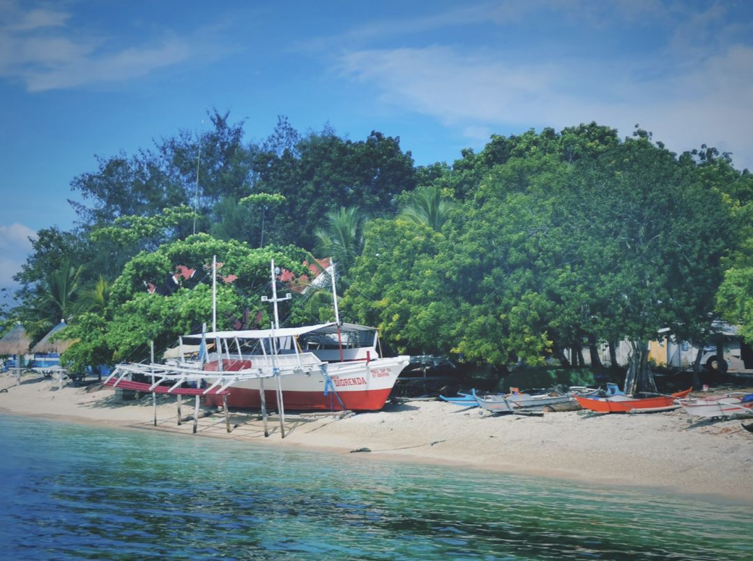 去宿雾攻略,宿雾旅行攻略