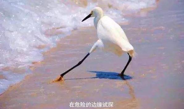 iqoo8pro5小时重度使用续航,iqoo重度使用视频