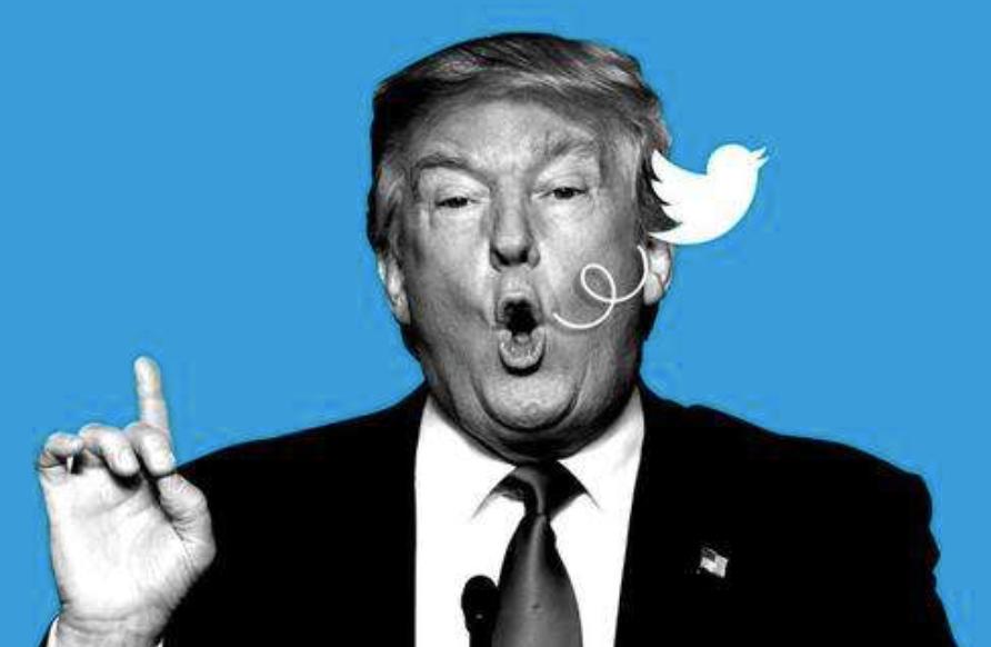 白宫动物简史：鸡、猫、狗、鸟、马、鼠、浣熊，甚至还有鬣狗