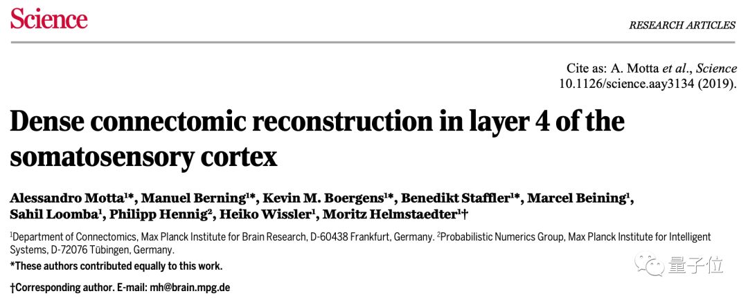 science蛋白质封面,重塑大脑的神经网络的方法