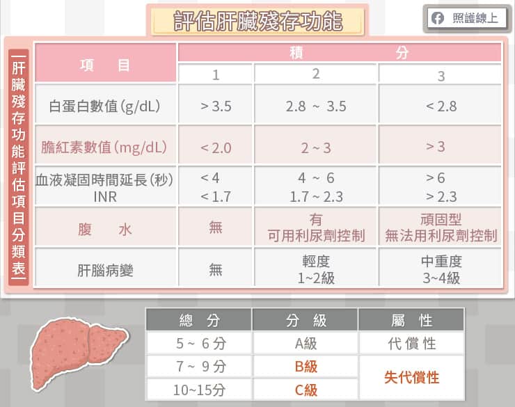 保护肝脏的五大注意事项,保护肝脏注意哪些事项