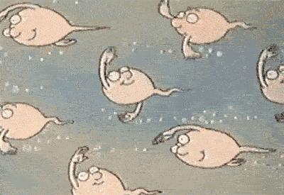 精子呈网状是怎么回事啊,精子是丝状怎么回事