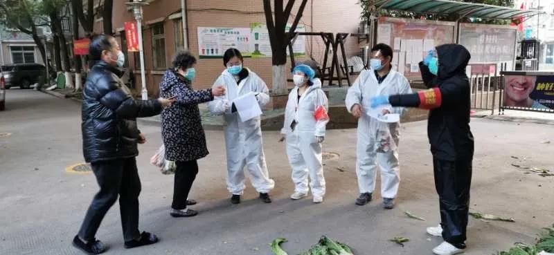 收到政府发放的爱心菜,政府领的爱心菜