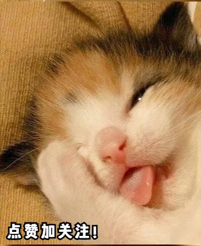 夏季最适宜吃的水果排名,夏季你一定要多吃这几个水果