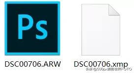 教你如何清楚了解DNG、TIFF、PSD等格式有什么不同