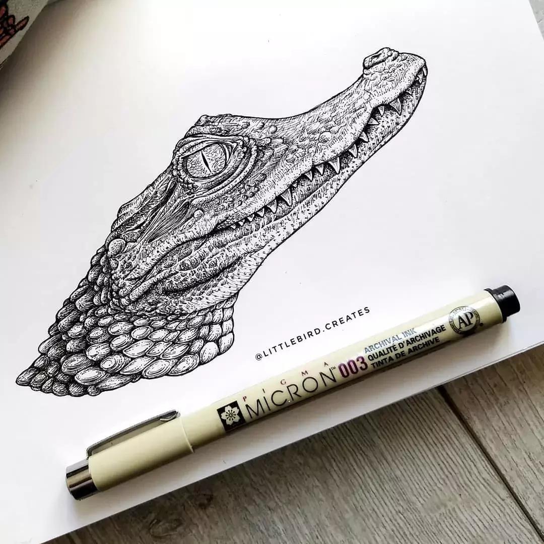 这一波手绘太给力了,绝对让你练完不厉害都难