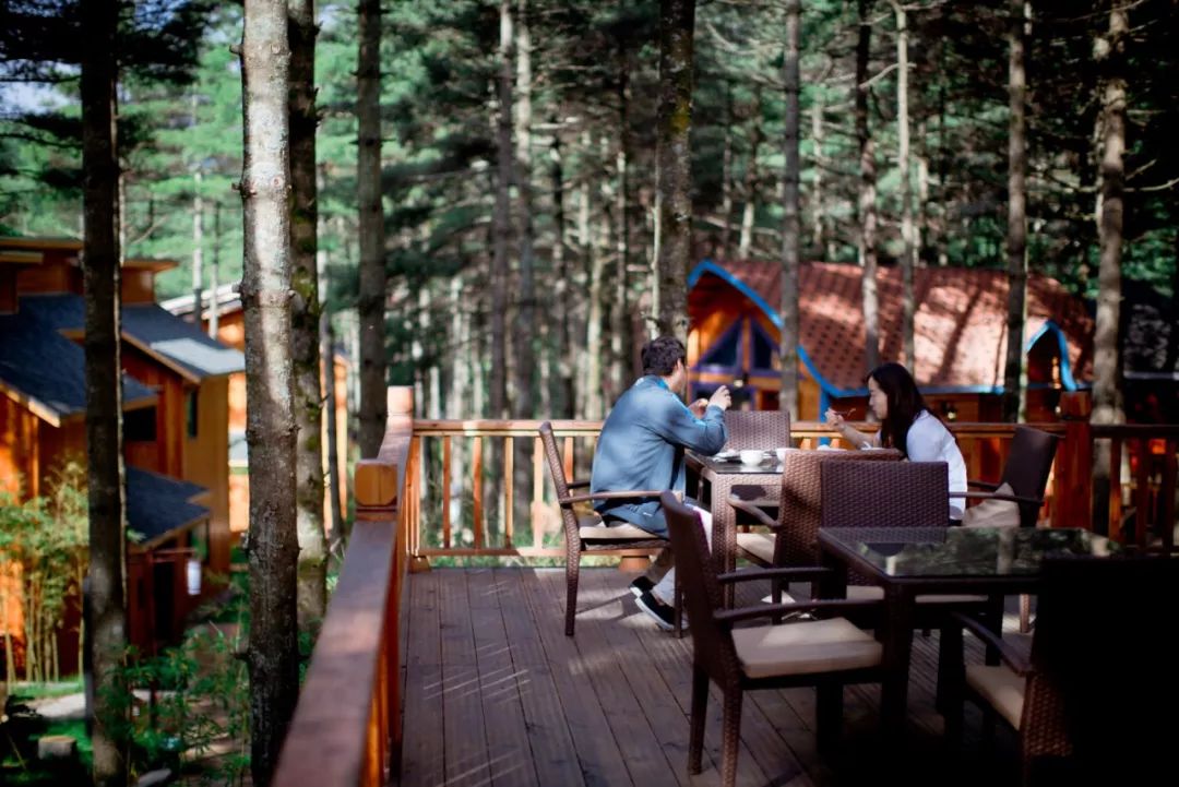 白云山景区民宿一家五口,白云山森林小屋民宿