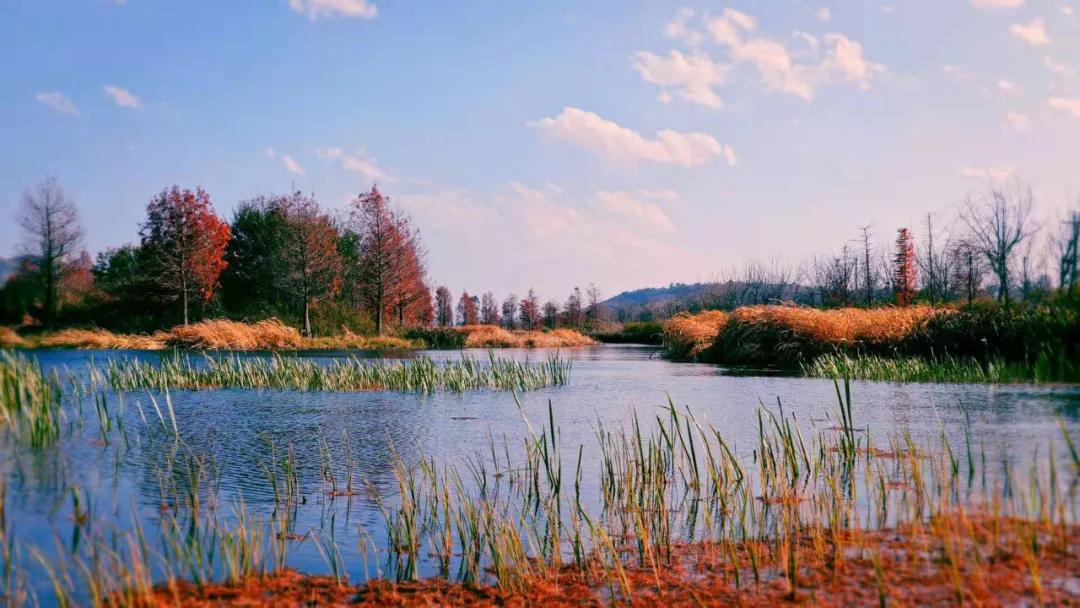 美丽云南洱海,美丽云南第二季盐津