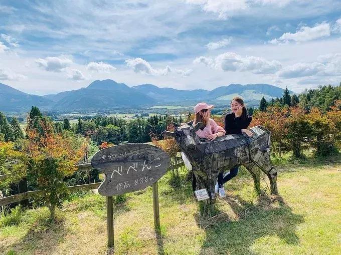 日本农业十大经典精髓,日本农业值得研究的点