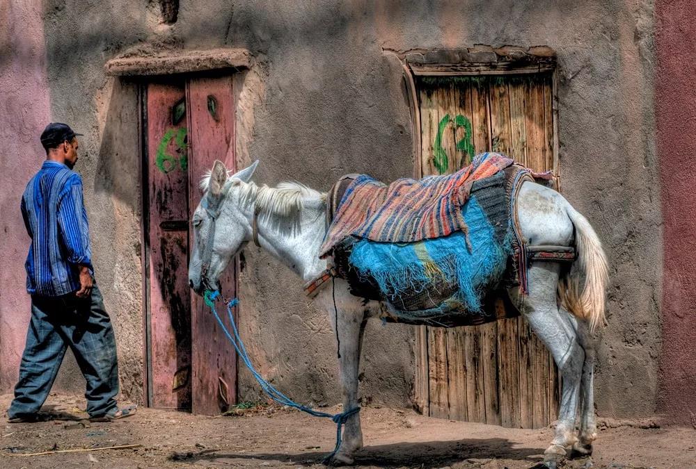 北非摩洛哥自驾旅游,摩洛哥自驾游路线定制攻略