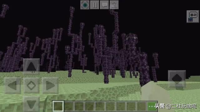 十大珍稀植物排行榜,中国十大珍稀植物排名