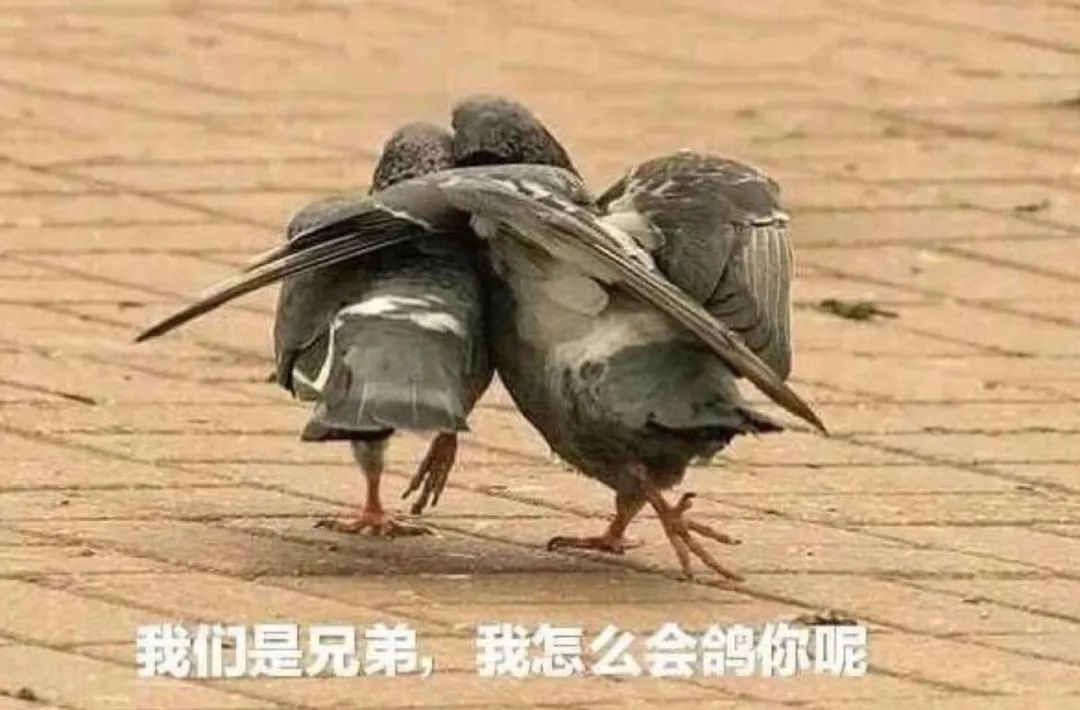 世上本没有路走的人多了便成坦途,世上从来没有捷径可走