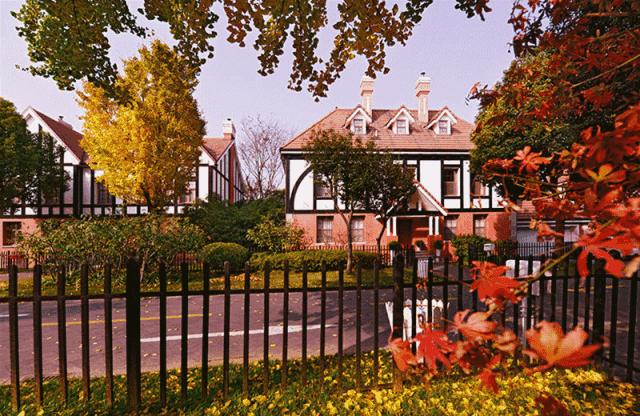 上海太魔幻了,上海太魔幻