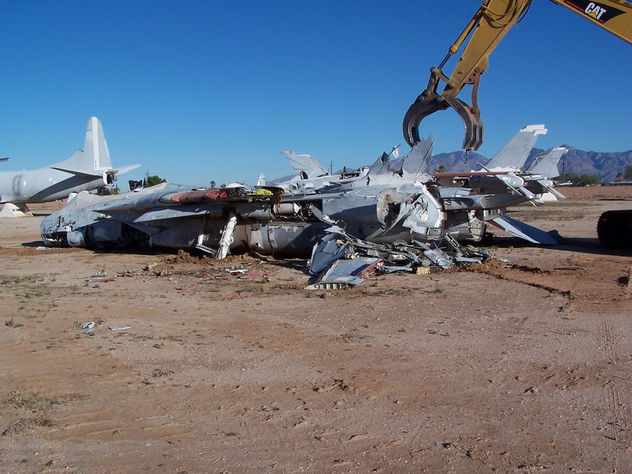 猫咪需要哪些用品,猫迷惑新技能