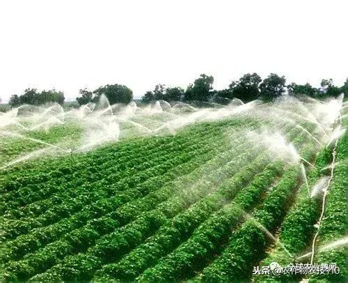 以色列用什么水和什么水灌溉农田,以色列进口水肥一体化灌溉设备