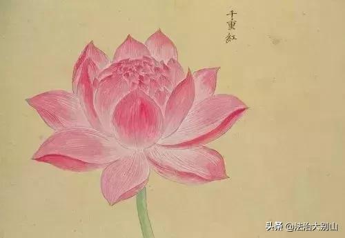 语文拓展100个容易被误用的成语,常见成语及成语误用的类型