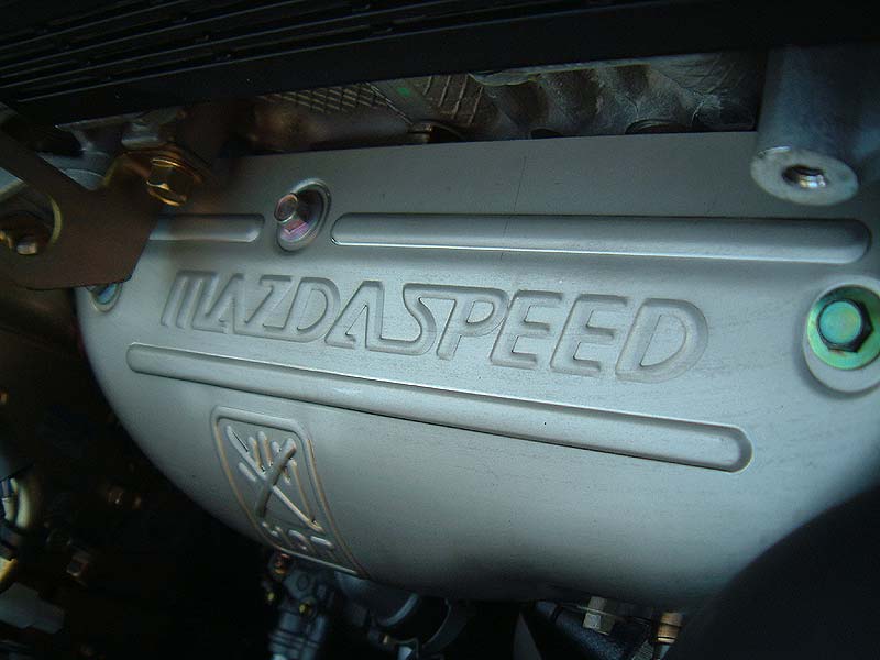 大洋彼岸的限定福美来—MazdaspeedProtegé