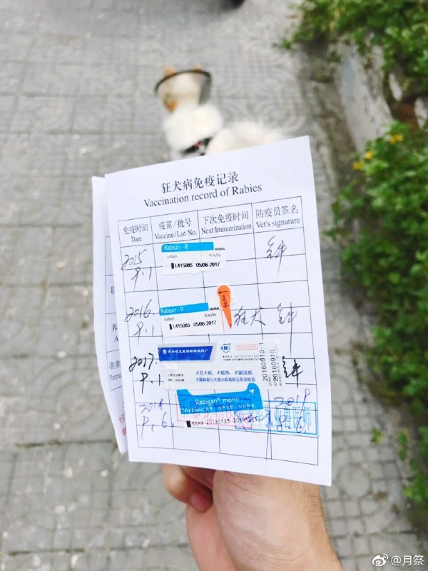 社区办理狗证需要什么手续,办狗证工作好吗