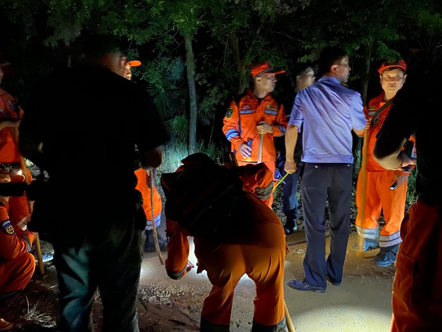 杭州金钱豹出逃最后一只找到了没,杭州金钱豹出逃最新视频