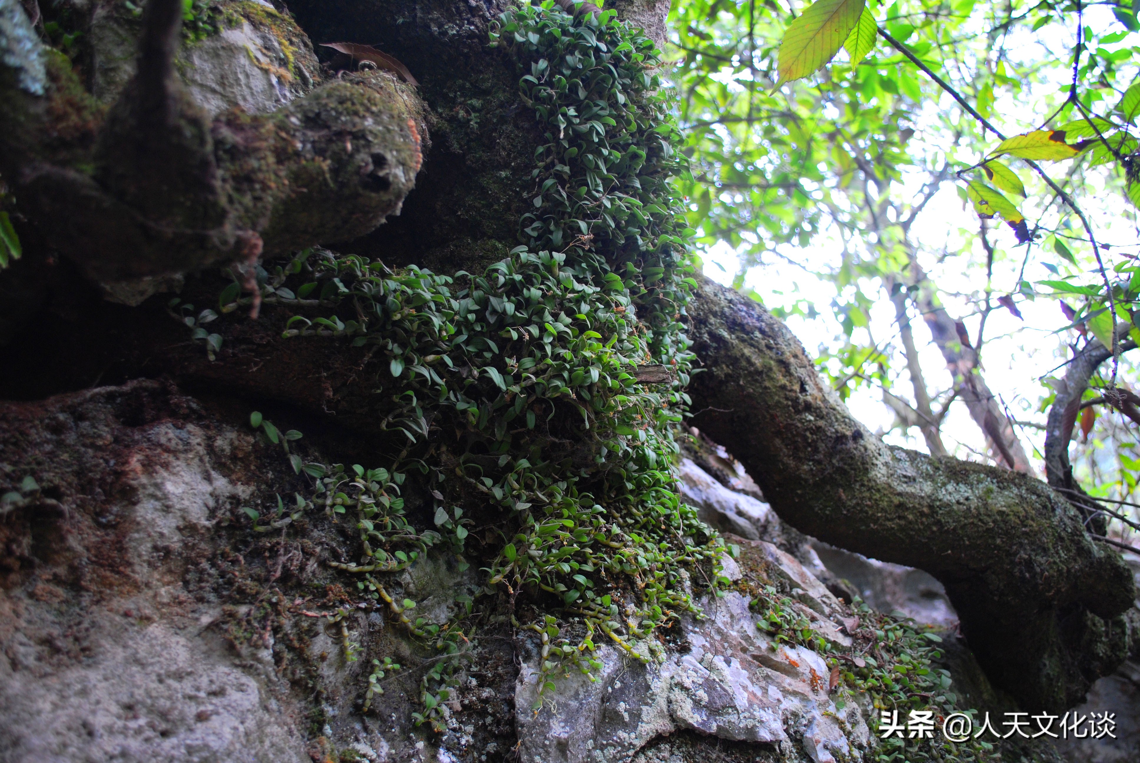 羊场旅游资源探析