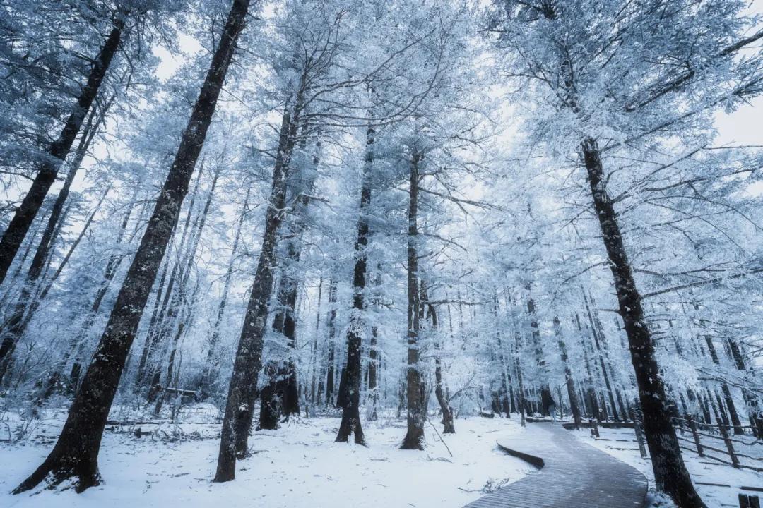 丽江玉龙雪山摄影师照片,丽江风景摄影照片