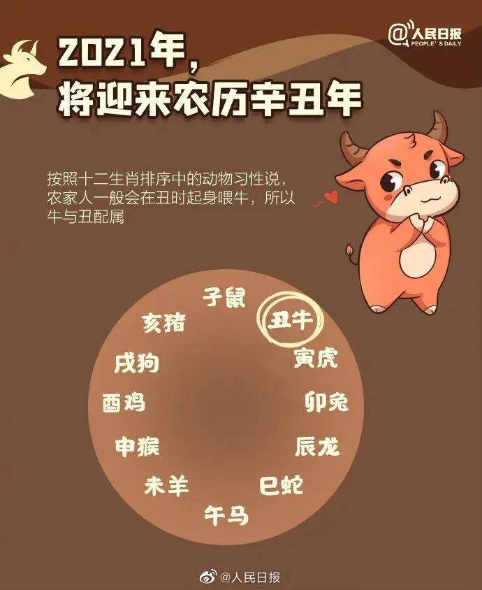 农历牛年从哪天算起,教你看懂农历牛年知识