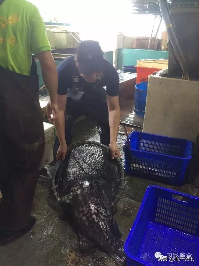 这些外形奇葩而味道超级赞的海鲜,广东十大硬核海鲜品种