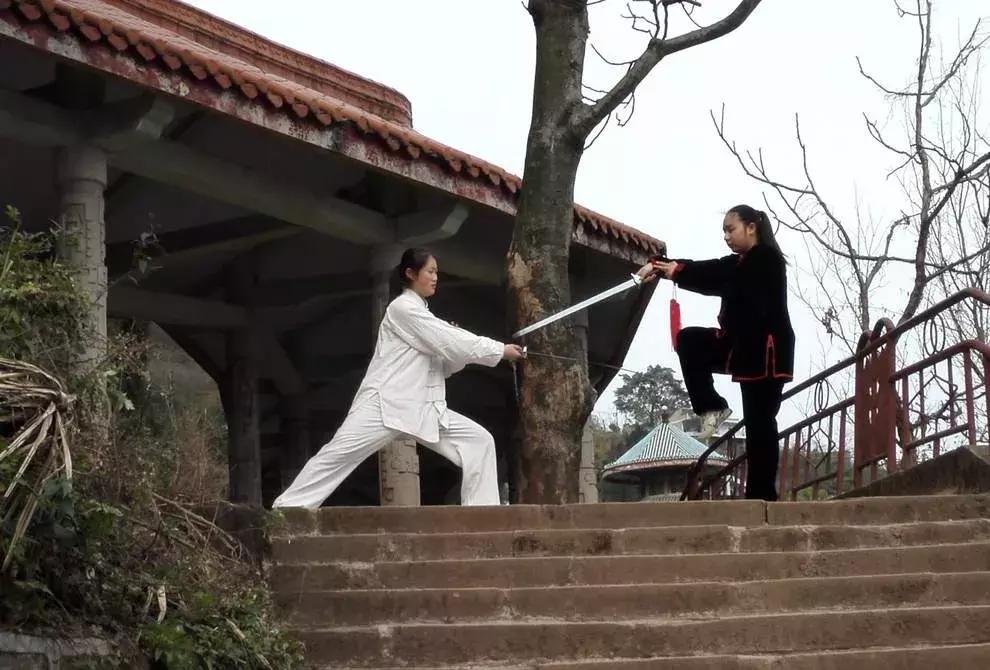 梅花桩传人韩建中视频,梅花桩韩建中徒弟名单