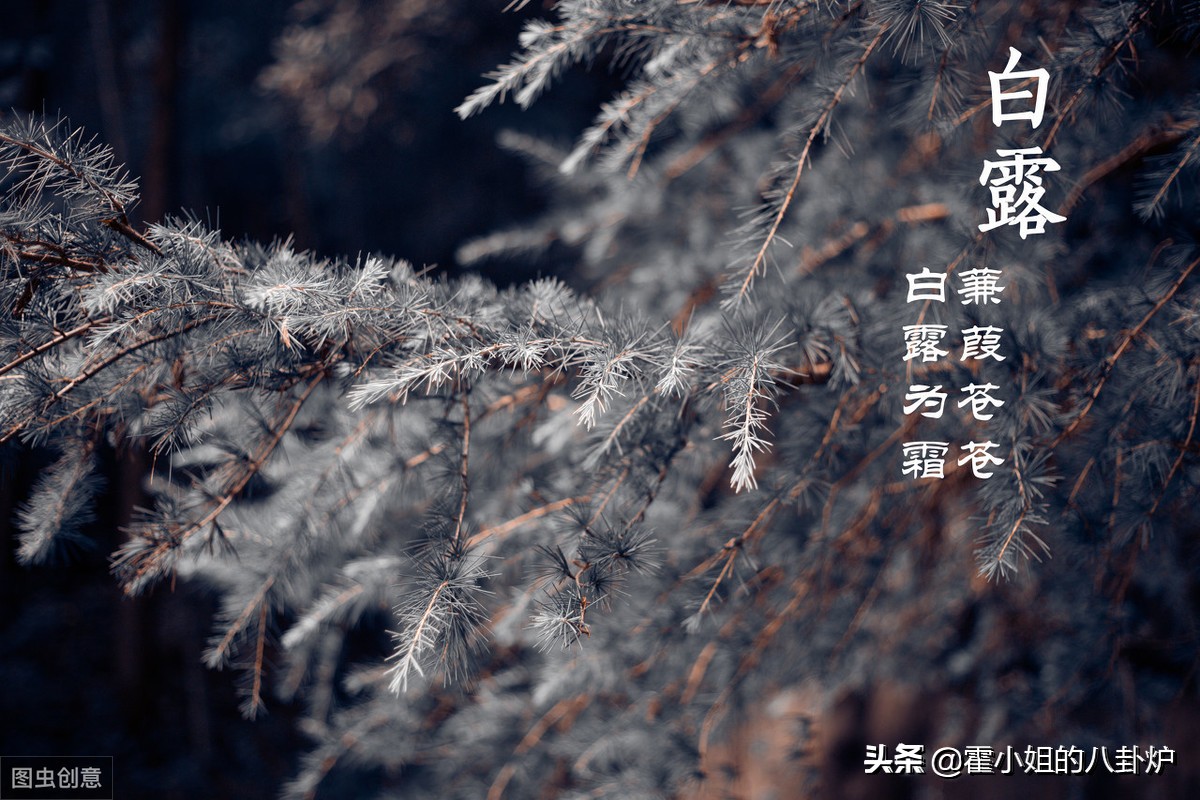 跨度三千年,无网络手机,司马迁如何搜集素材撰写《史记》?