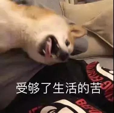 这些大牌化妆品你买过吗,市面上各种大牌化妆品真的有用吗