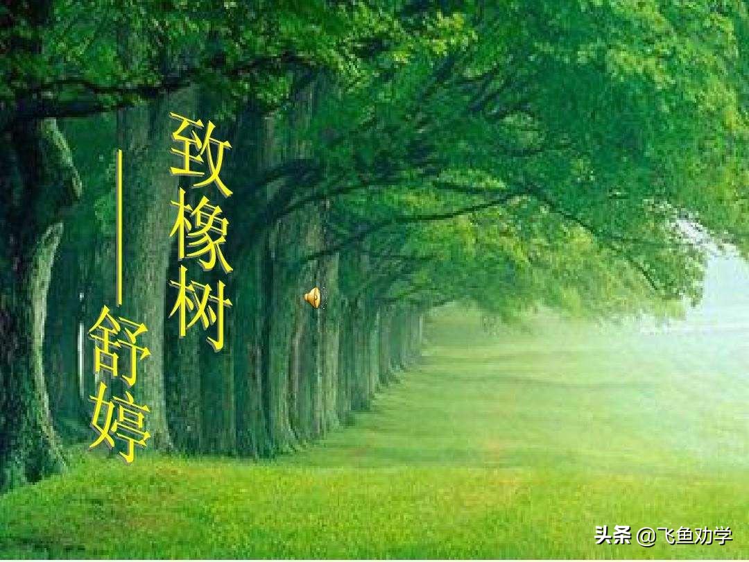 木棉树，*欢合**树，枇杷树：这3棵树写出了3个女人最精彩的一生