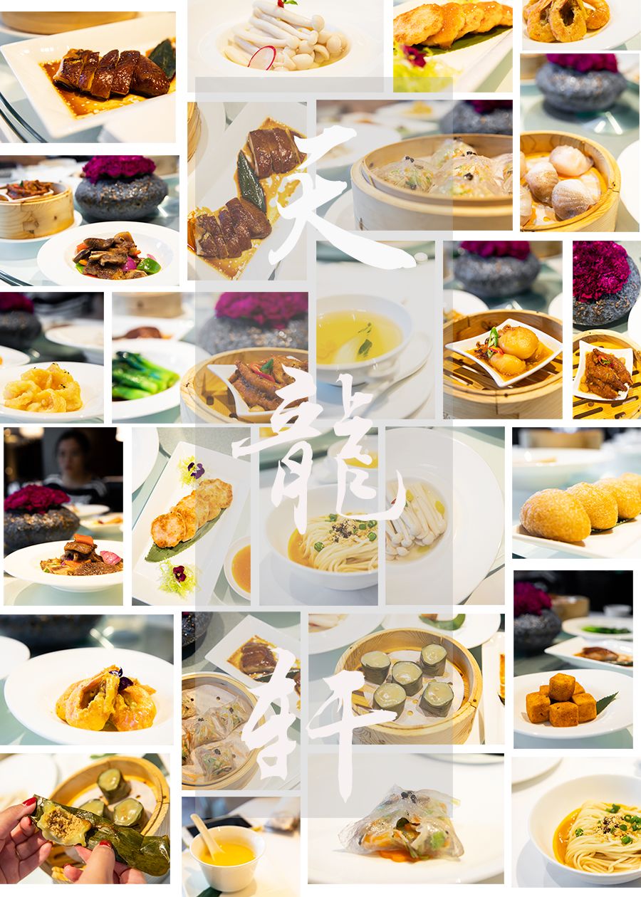 飞特店,海口飞特探店地址