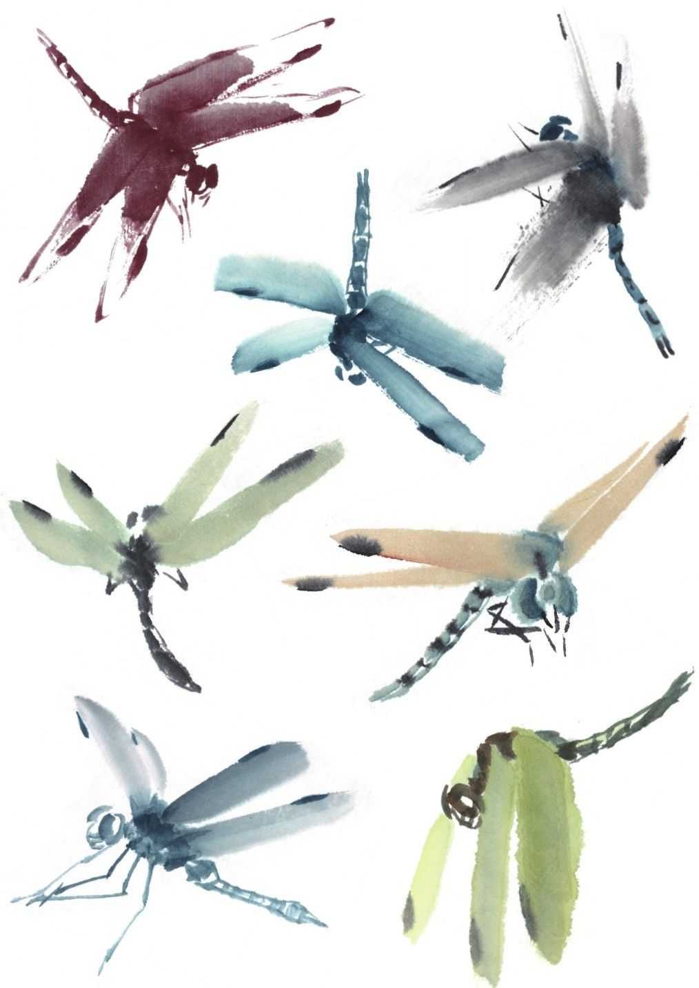 残荷蜻蜓国画画法及调色,徐湛国画蜻蜓的画法