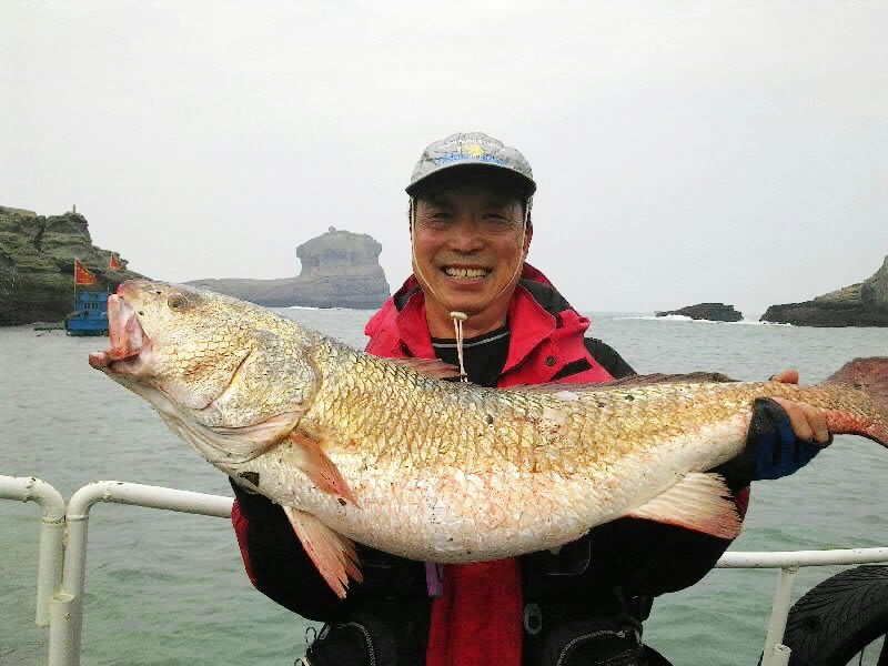 美国红鱼濒临灭绝,在美国把野生保护动物带回中国