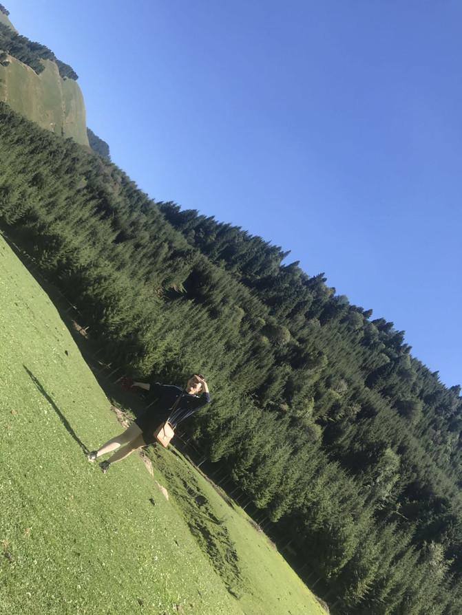 亲子游3天2晚郑州,暑假遛娃郑州