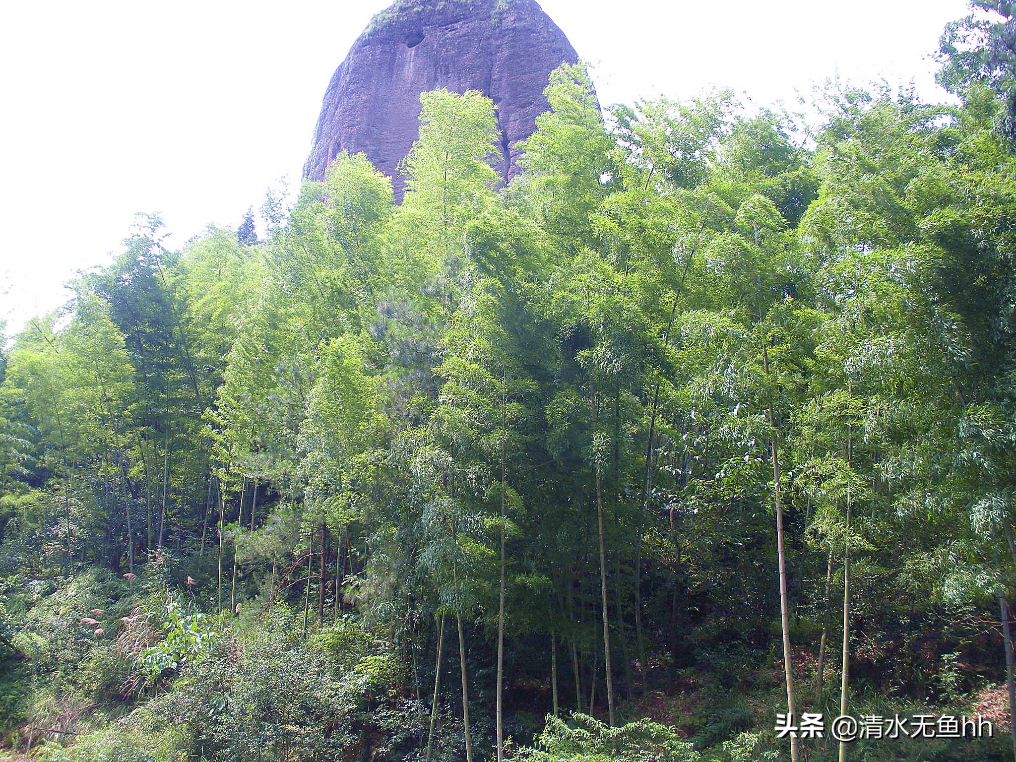 铜钹山九仙湖简介,铜钹山九仙湖几级景区