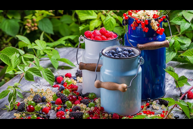 鸿鹄818芯片在电视芯片排第几,鸿鹄818智慧芯片什么级别