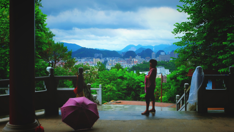 云浮南山森林公园锦鸡,云浮南山森林公园航拍