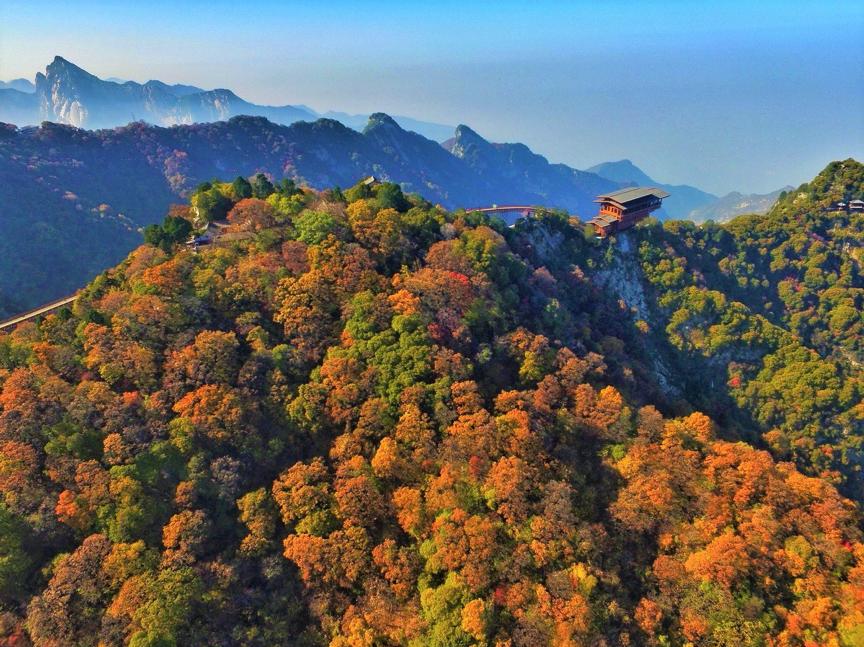 渭南红叶旅游节,陕西省少华山县红叶节